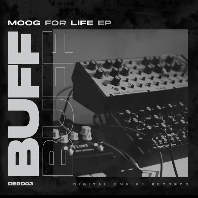 Moog For Life