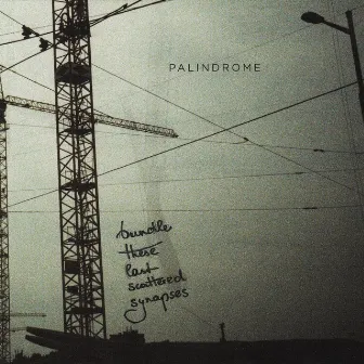 Bundle These Last Scattered Synapses by Palindrome