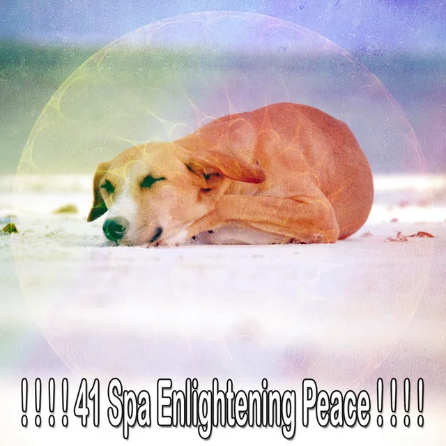 ! ! ! ! 41 Spa Enlightening Peace ! ! ! !