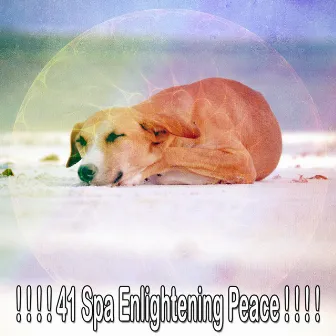 ! ! ! ! 41 Spa Enlightening Peace ! ! ! ! by Lullaby Land