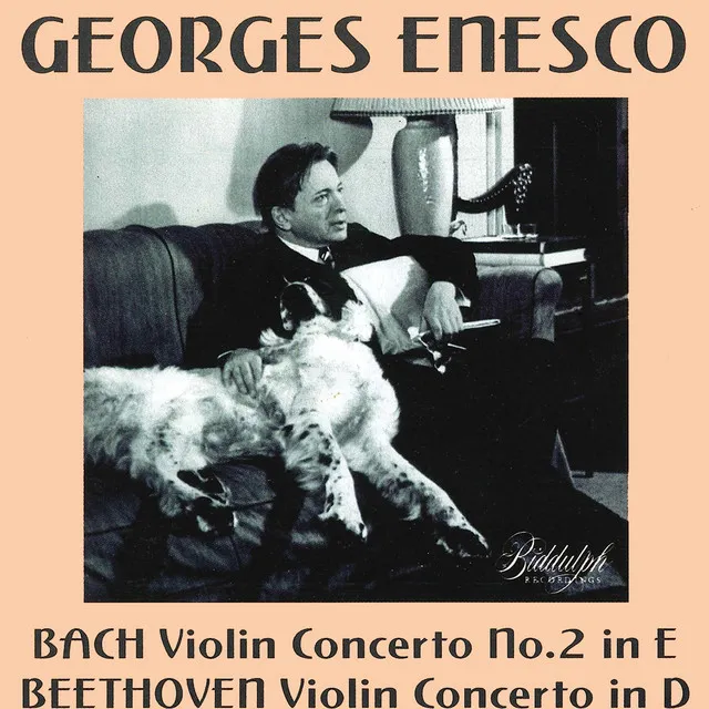 Violin Concerto No. 2 in E Major, BWV 1042: II. Adagio (Live)