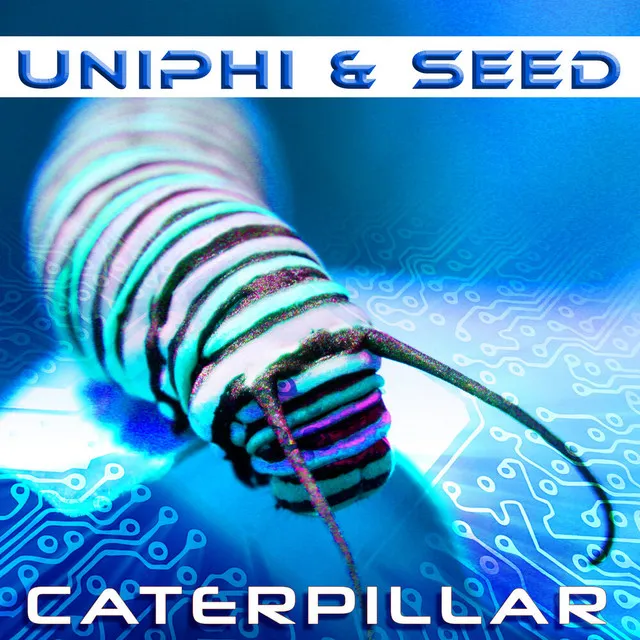 Caterpillar (Cocoon Mix)