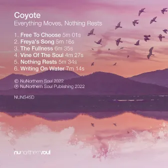 Everything Moves, Nothing Rests by Coyote