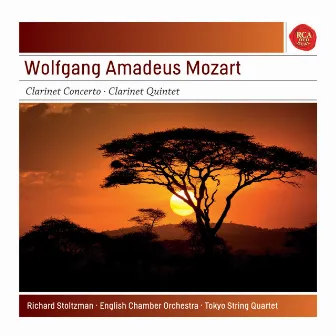 Mozart: Clarinet Concerto - Clarinet Quintet by Richard Stoltzman