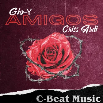 Amigos by Criss Ardi