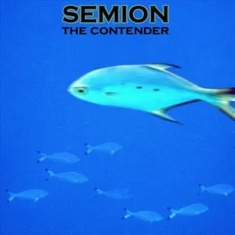 The Contender by Semion