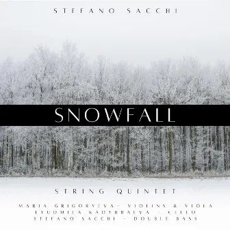 Snowfall by Stefano Sacchi