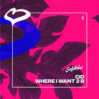 Where I Want 2 B by CID