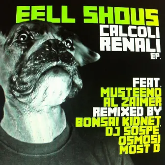 Calcoli renali by Eell Shous