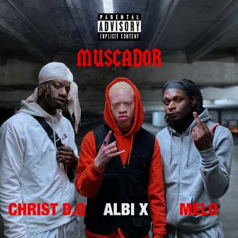 Muscador by ALBI X