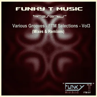 Various Grooves: FTM Selections, Vol. 3 (Mixes & Remixes) by Dj Funky T