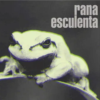 rana esculenta by Sayes