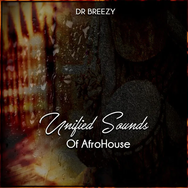 Unified Sounds of Afrohouse