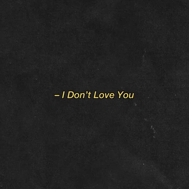 I Don't Love You