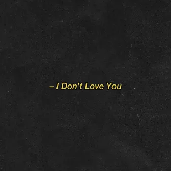 I Don't Love You by Kevin Adler