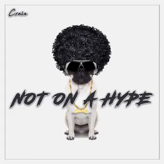 Not on a Hype by Craiz