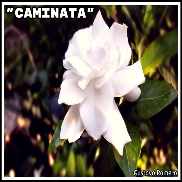 Caminata