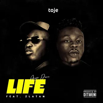 Life (Aiye Dun) by Toje