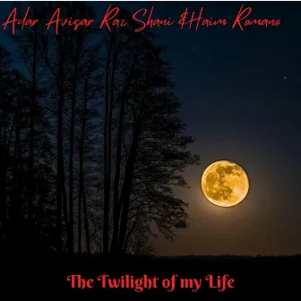 The Twilight of My Life by raz Shani