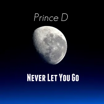 Never Let You Go by Prince D