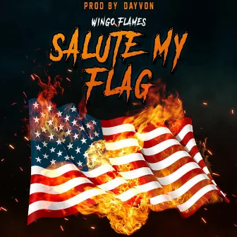 Salute My Flag by Wingo Flames