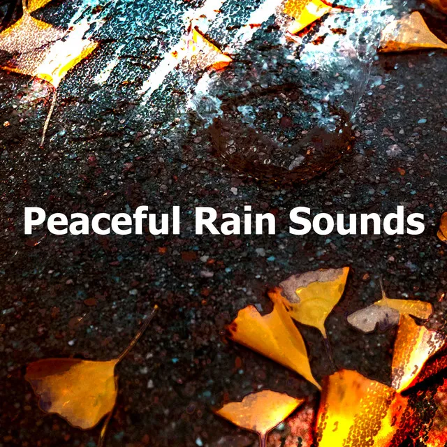 Peaceful Rain Sounds