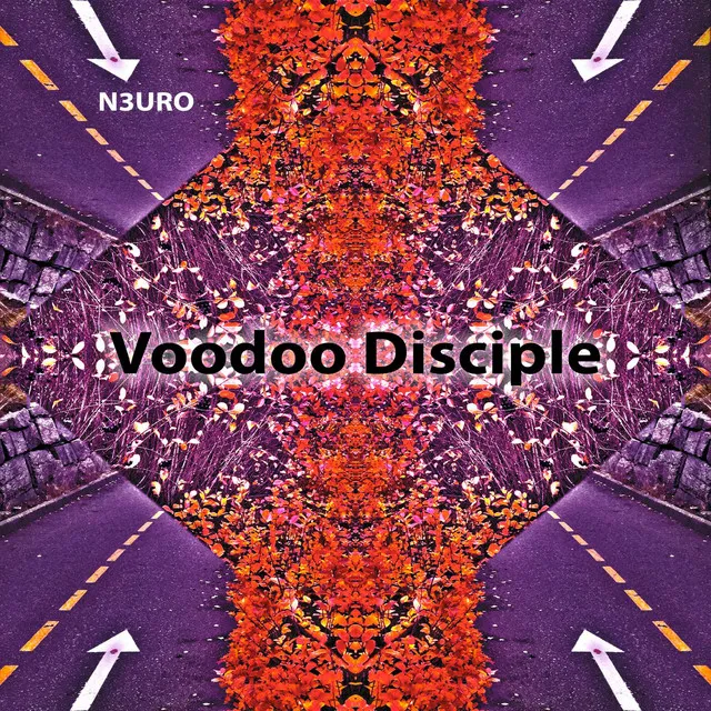 Voodoo Disciple