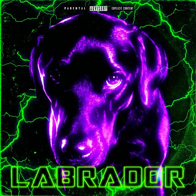 LABRADOR