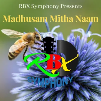 Madhusam Mitha Naam by Ritu Kullu