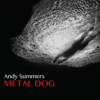 Metal Dog by Andy Summers