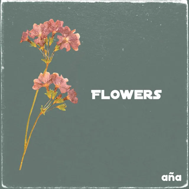 Flowers - Lo Fi