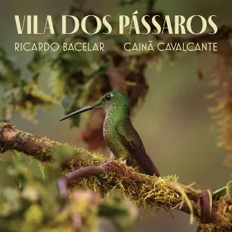 Vila dos Pássaros by Ricardo Bacelar