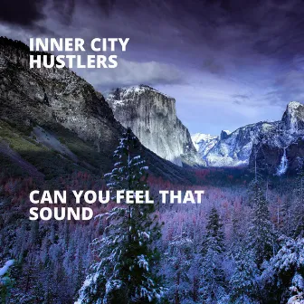 Can You Feel That Sound by INNER CITY HUSTLERS