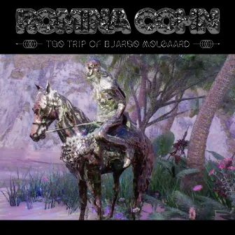 The Trip of Bjarne Melgaard (Terror Mix) by Romina Cohn