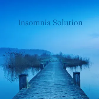 Insomnia Solution - Soft Rain and Relaxing Sleeping Music, Deep Sleep Meditation to Reduce Anger and Stress by Healing Rain Music Zone