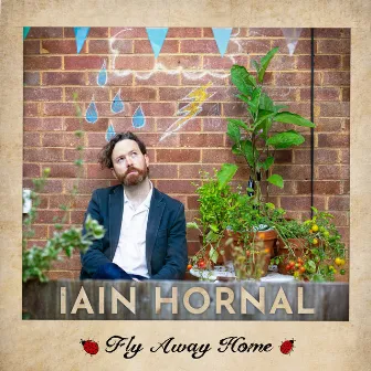 Fly Away Home by Iain Hornal