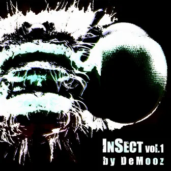 InSect, Vol. 1 by DeMooz