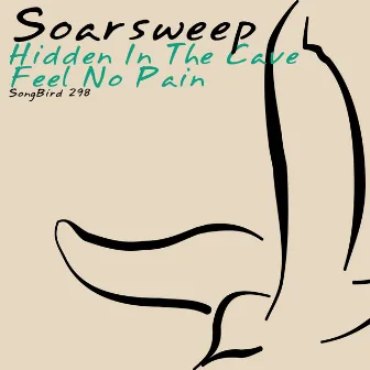 Hidden In The Cave / Feel No Pain by Soarsweep