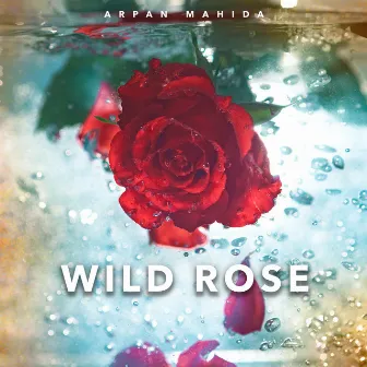 Wild Rose by Arpan Mahida