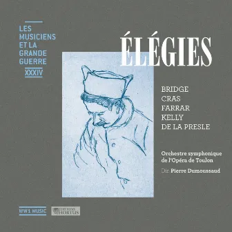 Élégies (Les musiciens et la Grande Guerre, Vol. 34) by Pierre Dumoussaud