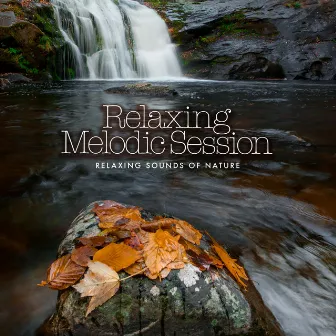 Relaxing Melodic Session by Relaxing Sounds of Nature