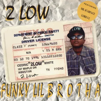 Funky Lil Brotha by 2 Low