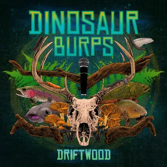 Driftwood by Dinosaur Burps