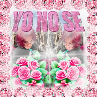 yo no se by oami