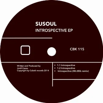 Introspective by SuSoul