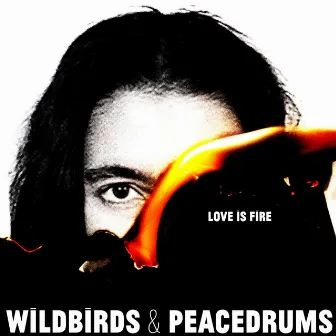 Love Is Fire by Wildbirds & Peacedrums