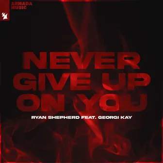 Never Give Up On You by Ryan Shepherd