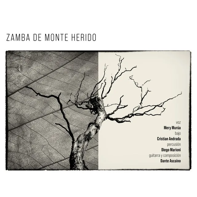 Zamba de Monte Herido