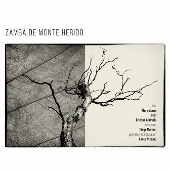 Zamba de Monte Herido by Dante Ascaino