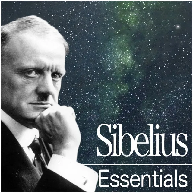 Sibelius: Violin Concerto in D Minor, Op. 47: I. Allegro moderato